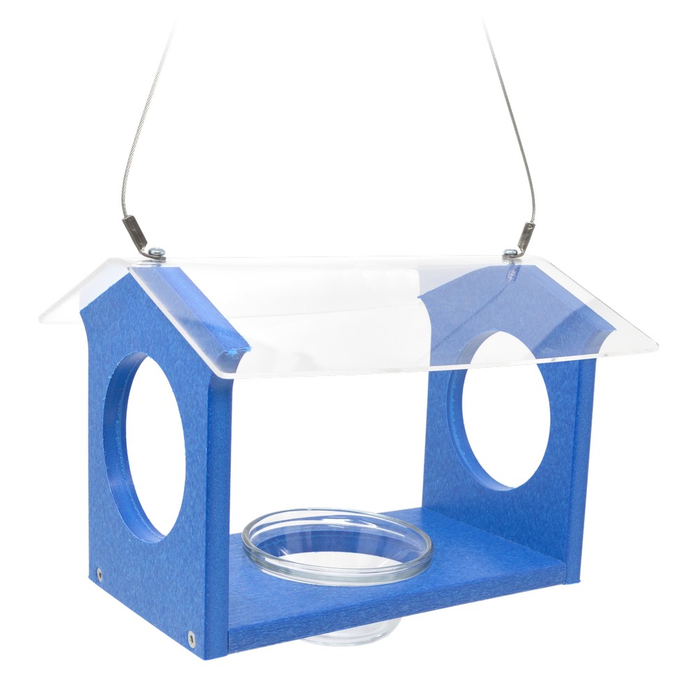 Recycled Bluebird Canteen