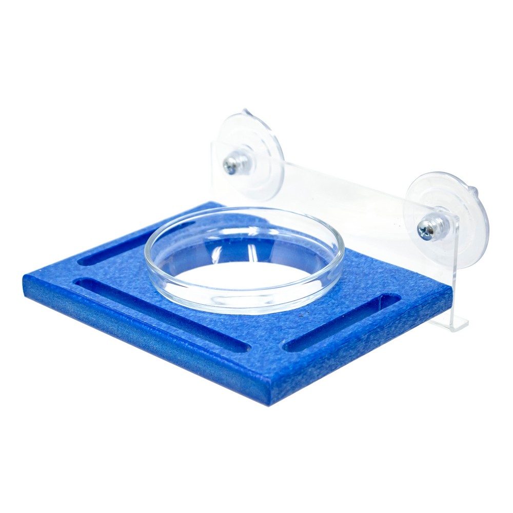 Blue Window Mealworm Feeder