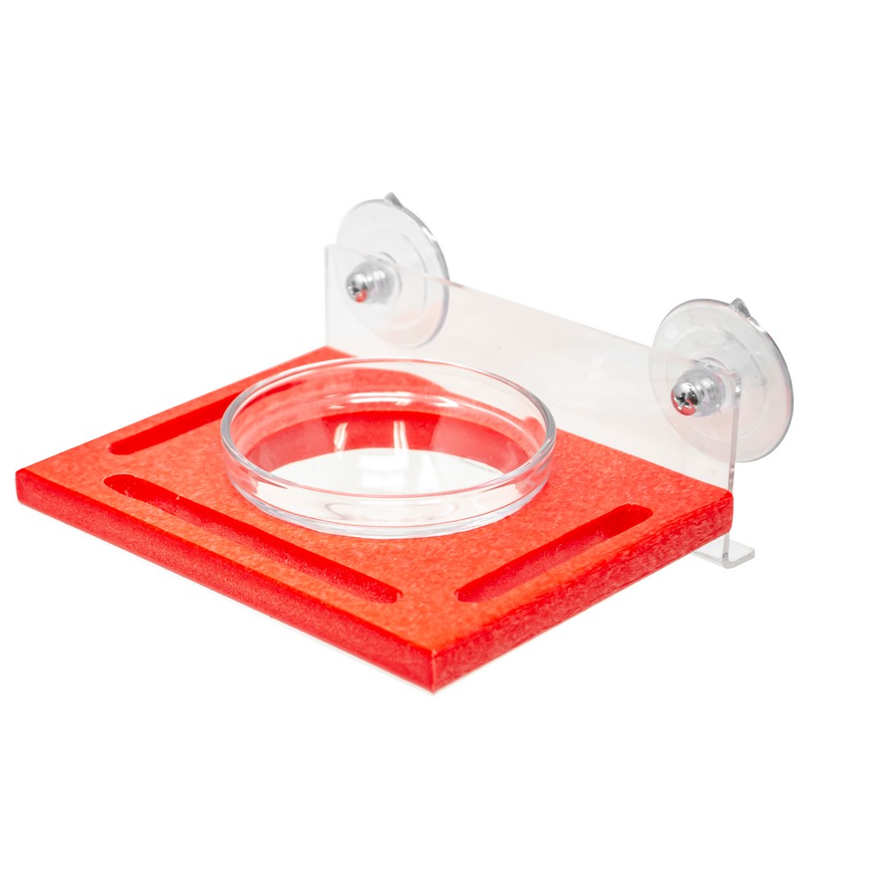 Red Window Seed Feeder