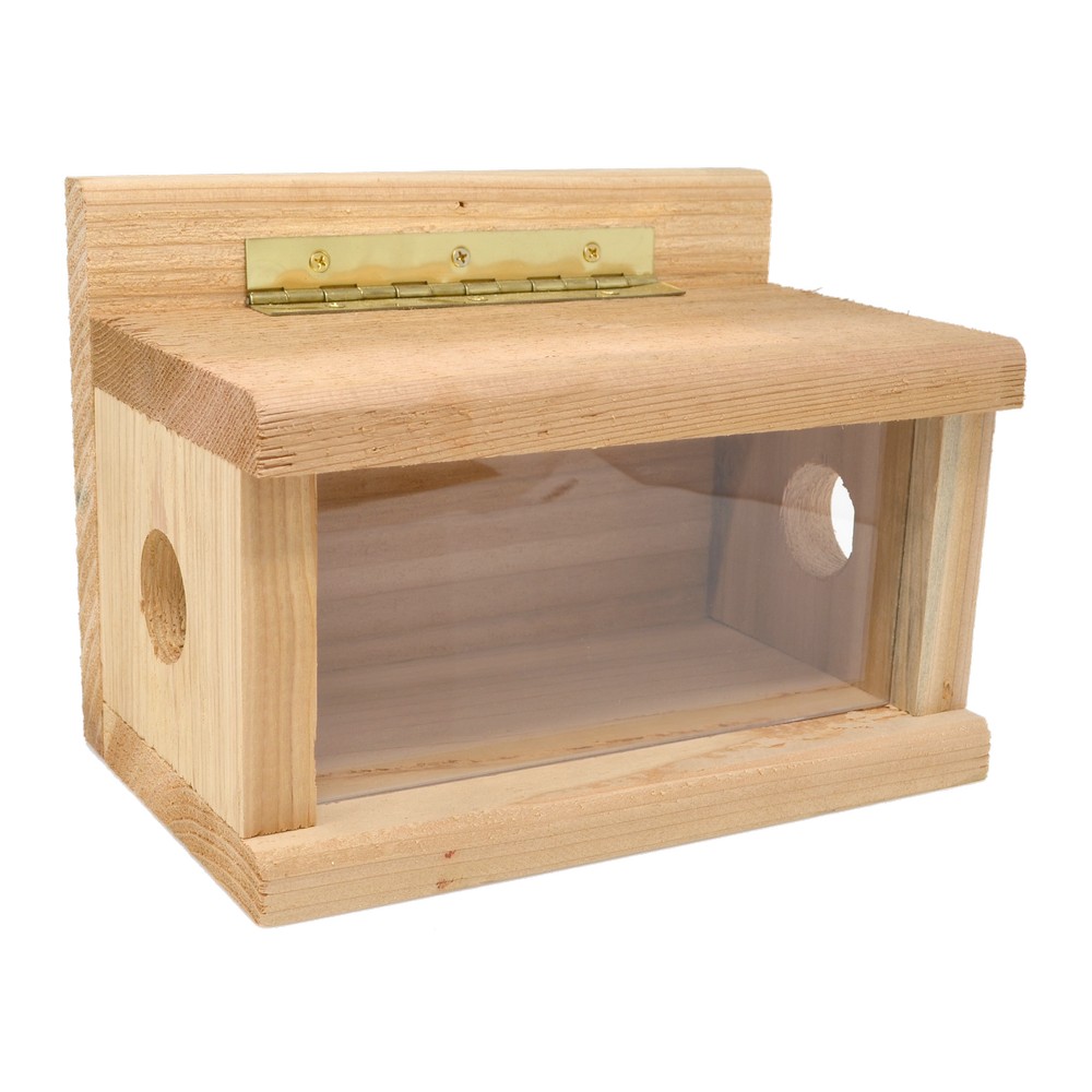 Post Mount Bluebird Feeder