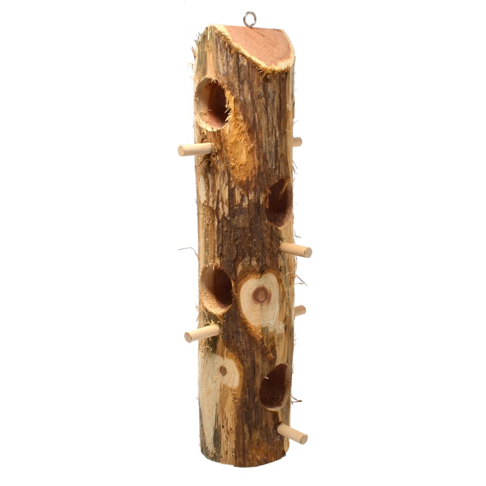 Suet Log with Perches