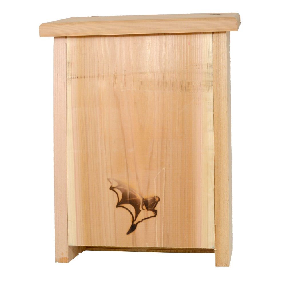 Two Chamber Bat Flat