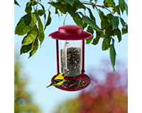 Combination Hopper/Seed Scoop Feeder