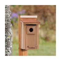 Coppertop BlueBird House