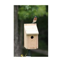 BlueBird House
