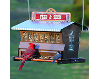 Rustic Farmhouse Absolute Feed & Seed Feeder