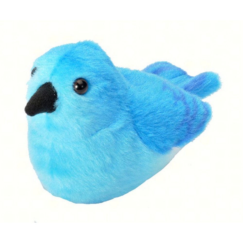 Plush Mountain Bluebird