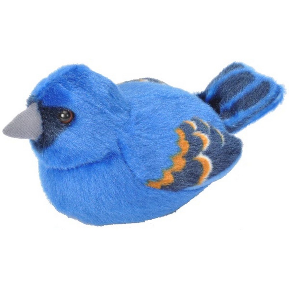 Plush Blue Grosbeak